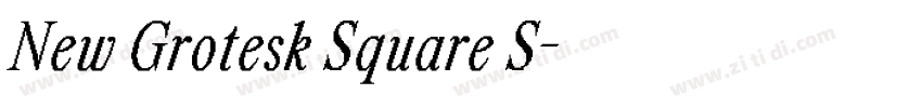 New Grotesk Square S字体转换 New Grotesk Square S字体转换